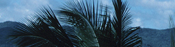 www.traveljungle.co.uk